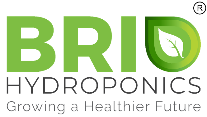 Brio-removebg-preview